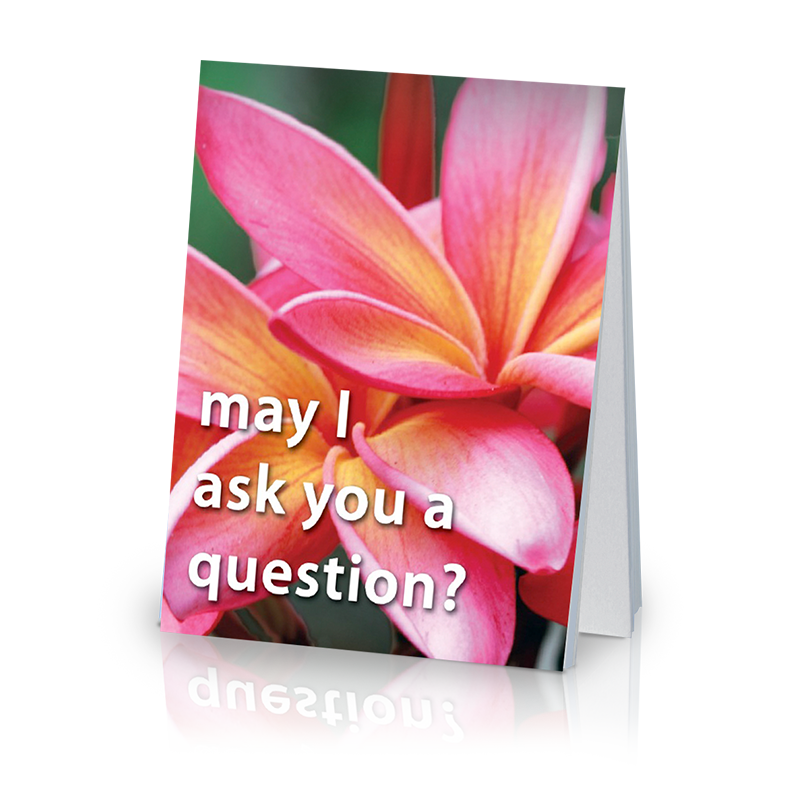 May I Ask You a Question? - Flower (25 Pack)