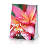 May I Ask You a Question? - Flower (25 Pack)