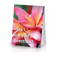 May I Ask You a Question? - Flower (25 Pack)