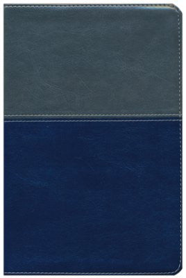 NKJV Evangelism Study Bible - Imitation Leather Gray/Blue